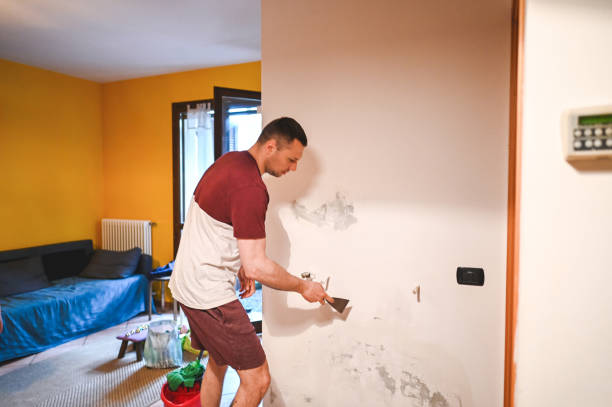 Best Mold Damage Repair  in Mked Tree, AR